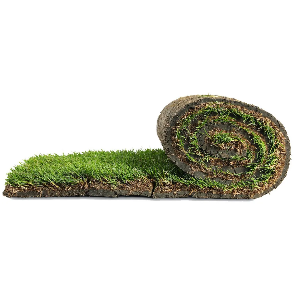 Conaplor - Pasto Natural en Rollo 1.65 m x 30 cm