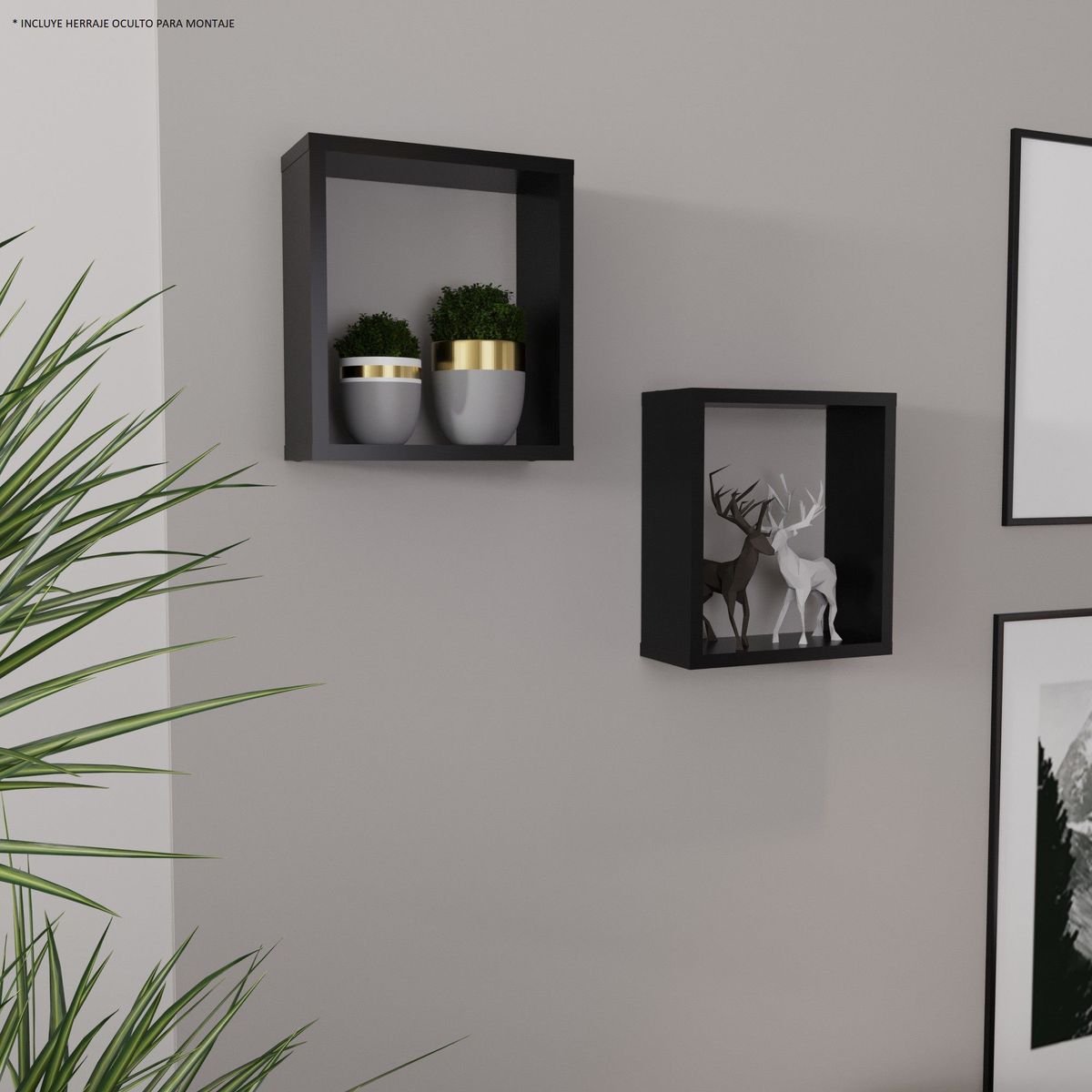 Maderkit - Combo 2 repisas cubo wengue