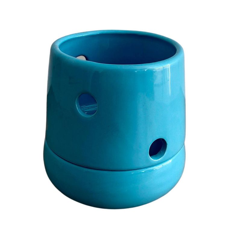 Conaplor - Maceta Orquidea Dúo Cono Azul Cielo