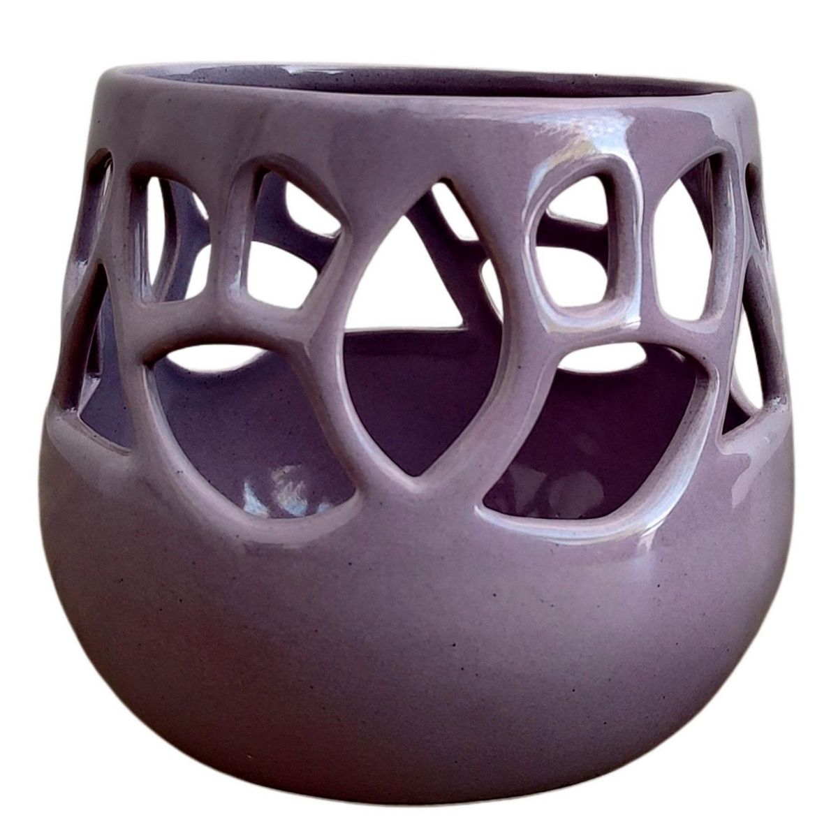 Conaplor - Maceta Orquídea Loto Lila