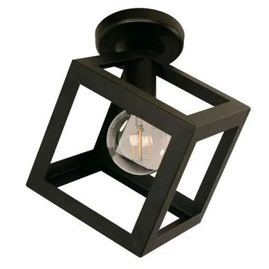 L�mpara de techo Ankaa de 1 luz E27 Negro