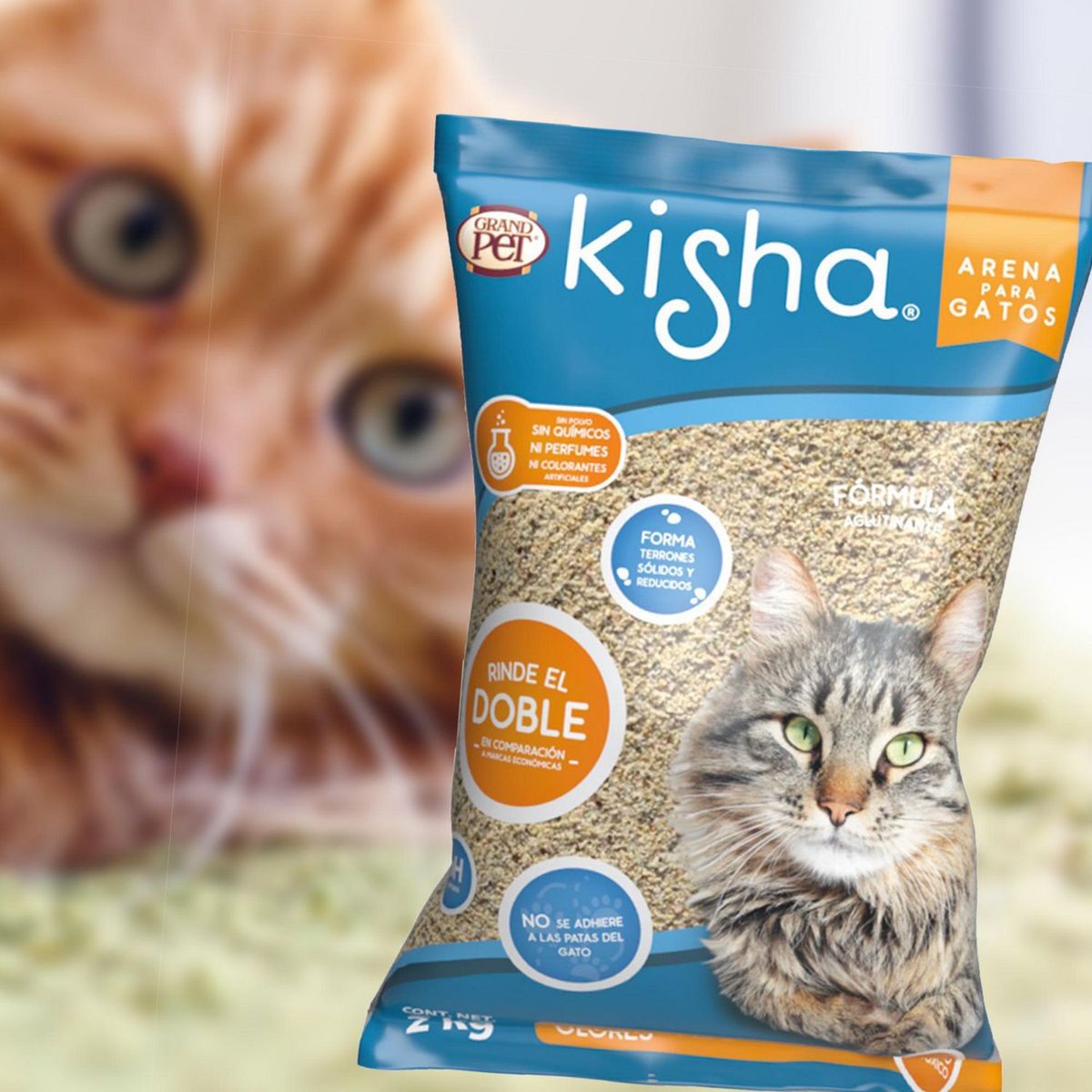 Gpet kisha - Arena para Gato Grandpet Estandar Kisha 2Kg