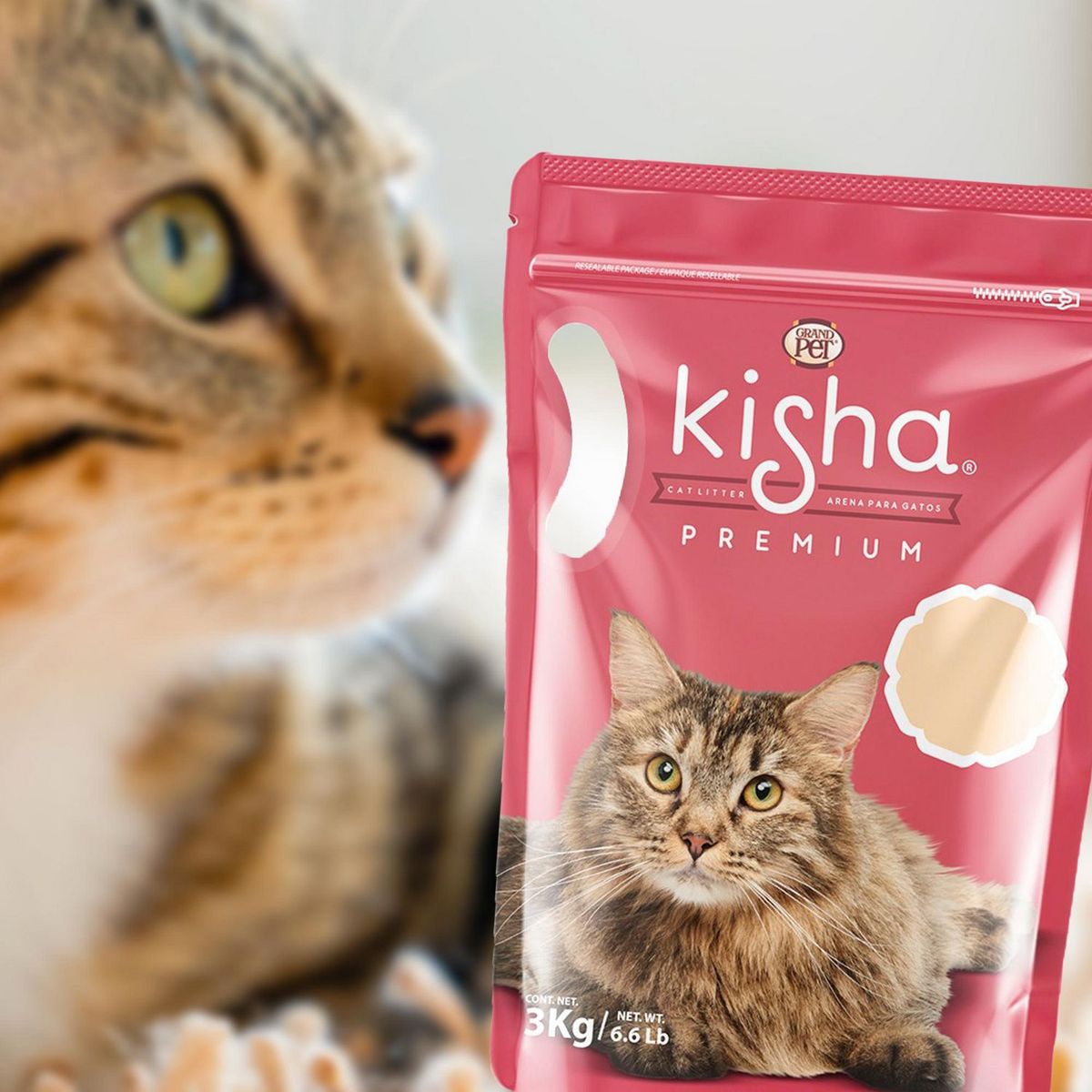 Arena para Gato Grandpet Premium Kisha 3Kg, marca Gpet kisha - Foto 2
