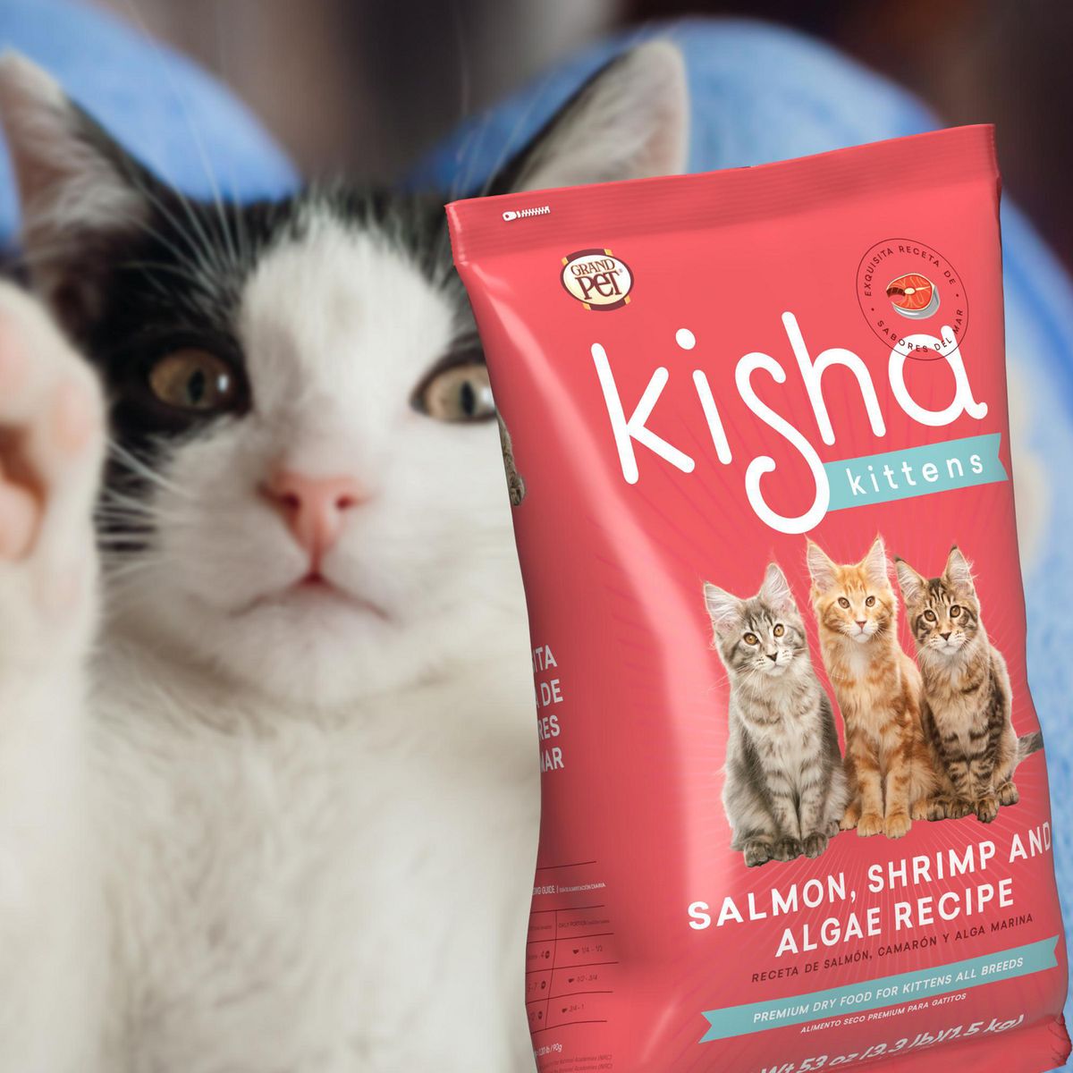 Gpet kisha - Alimento para Gato Grandpet Kisha Kittens 1.5 Kg