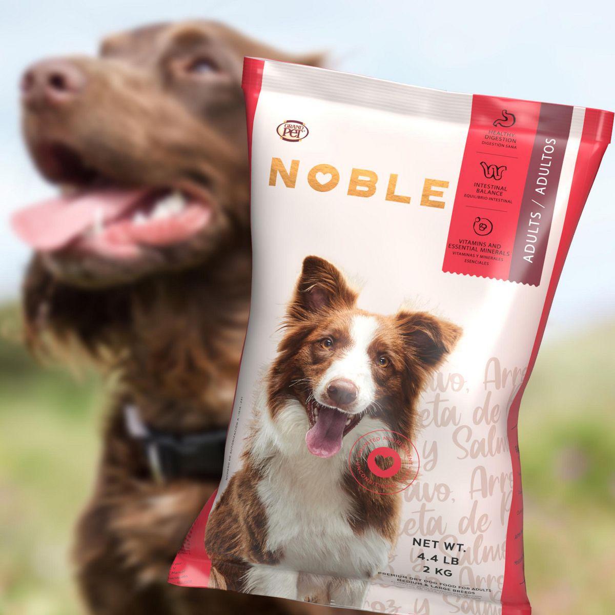 Gpet noble - Alimento para Perro Grandpet Noble Adulto 2 Kg