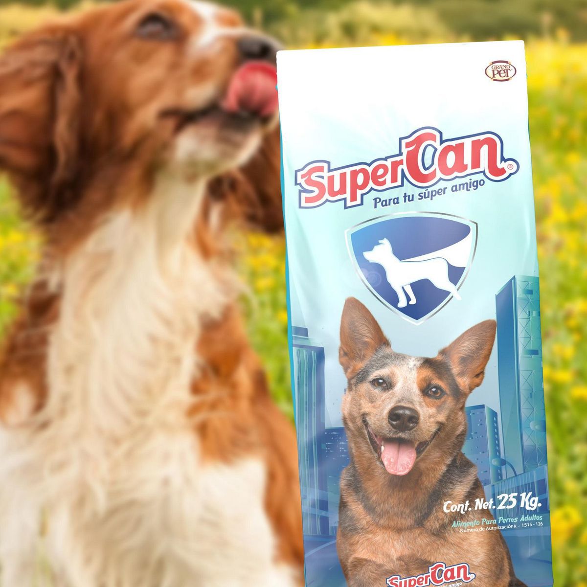 Alimento para Perro Supercan Adulto 25 Kg, marca Supercan - Foto 2