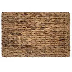 Individual rectangular trenzado 45 X 30 centímetros