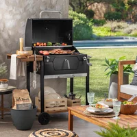 Asador de Carbón con Bandeja