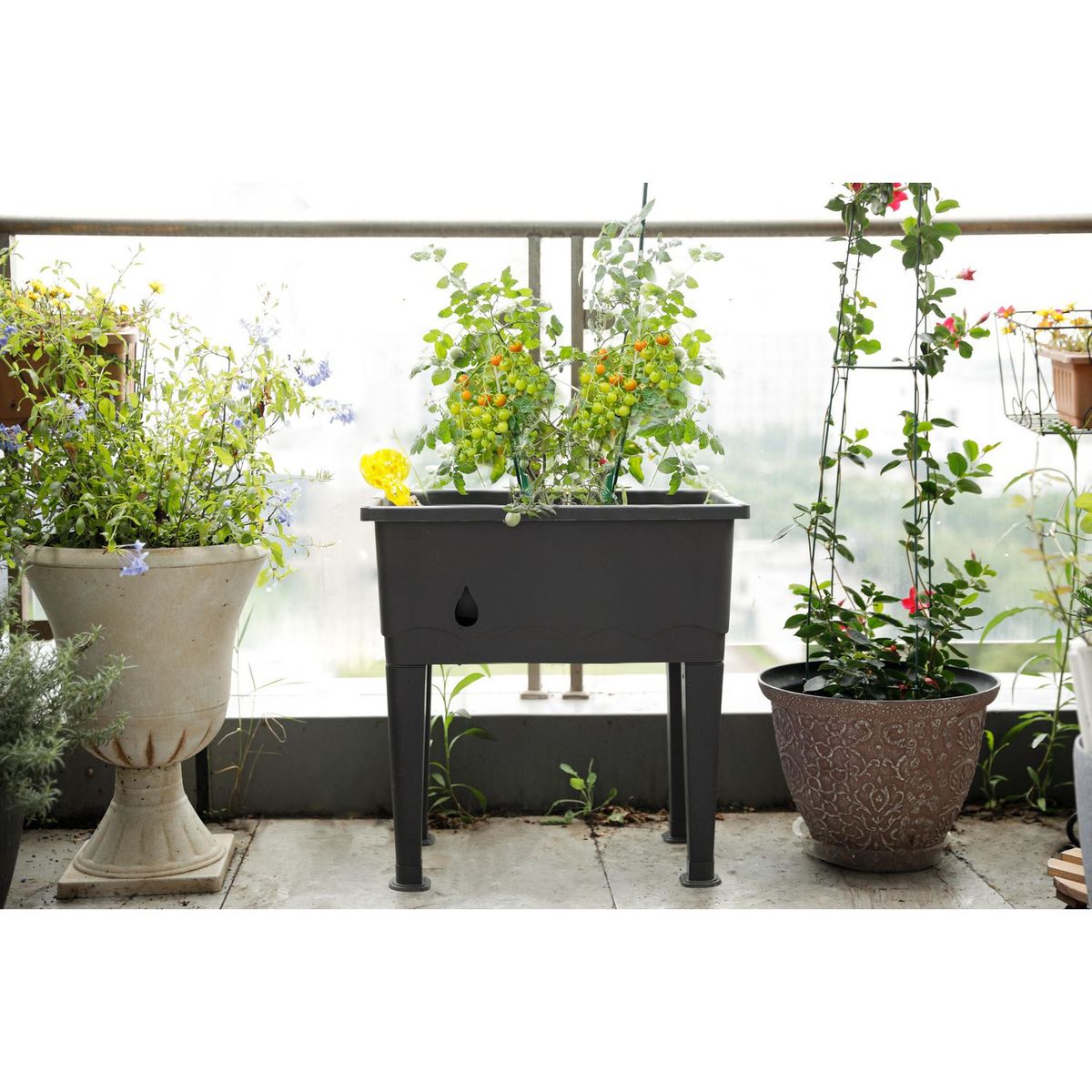 Ergo - Huerto Urbano 60x40x65 cm.