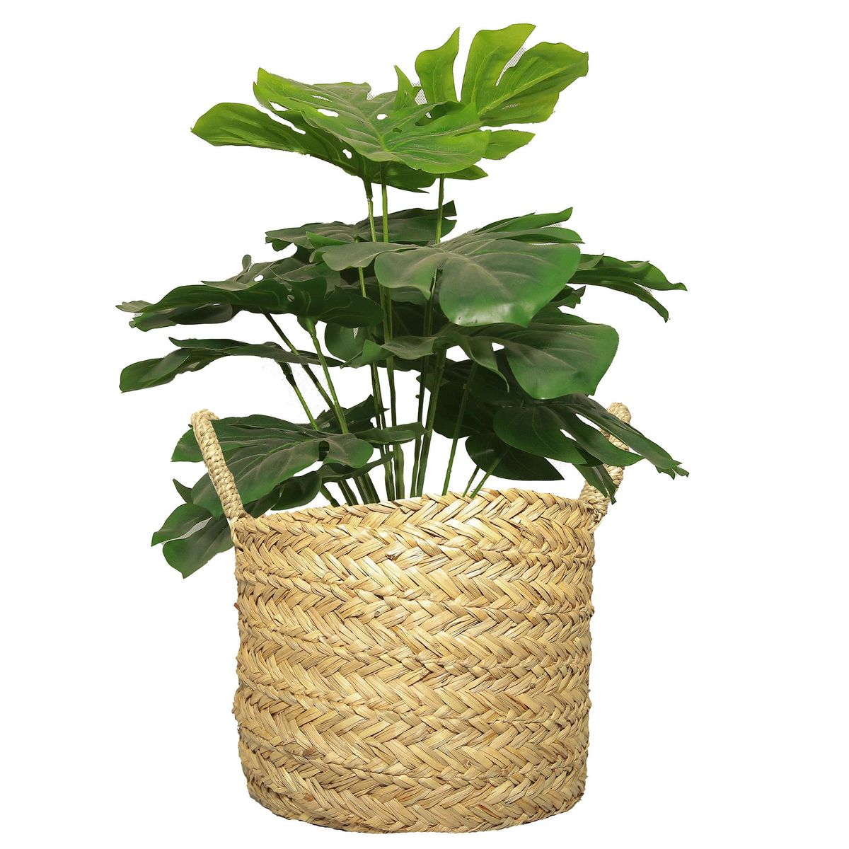 Just Home Collection - Canasto Quilca 31 x 21 cm