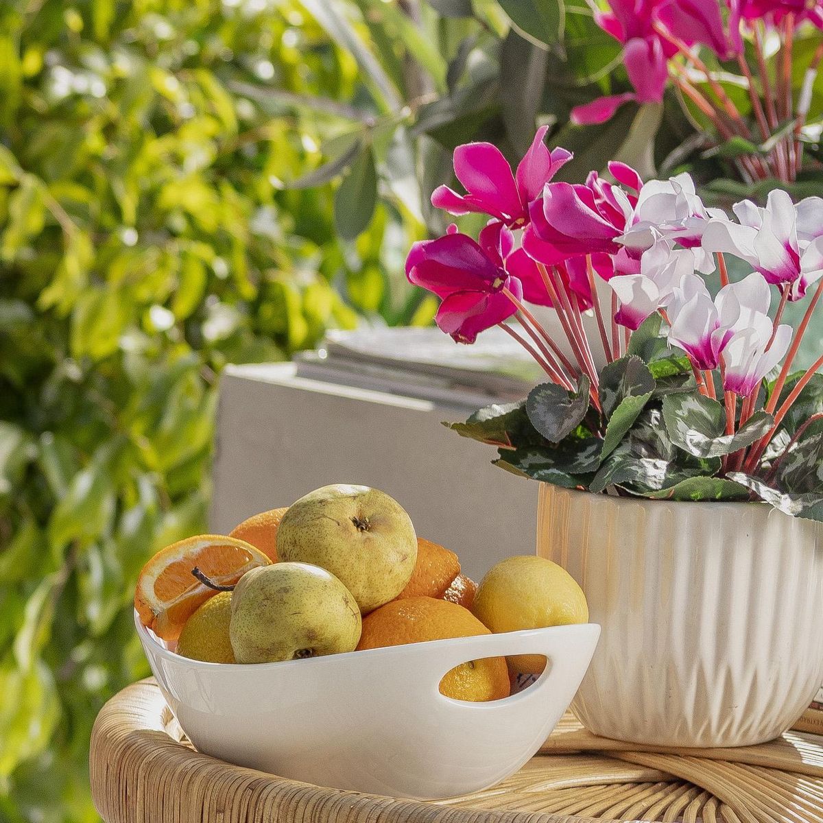 Just Home Collection - Fuente con asa pequeña blanca