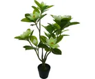 Planta artificial magnolia