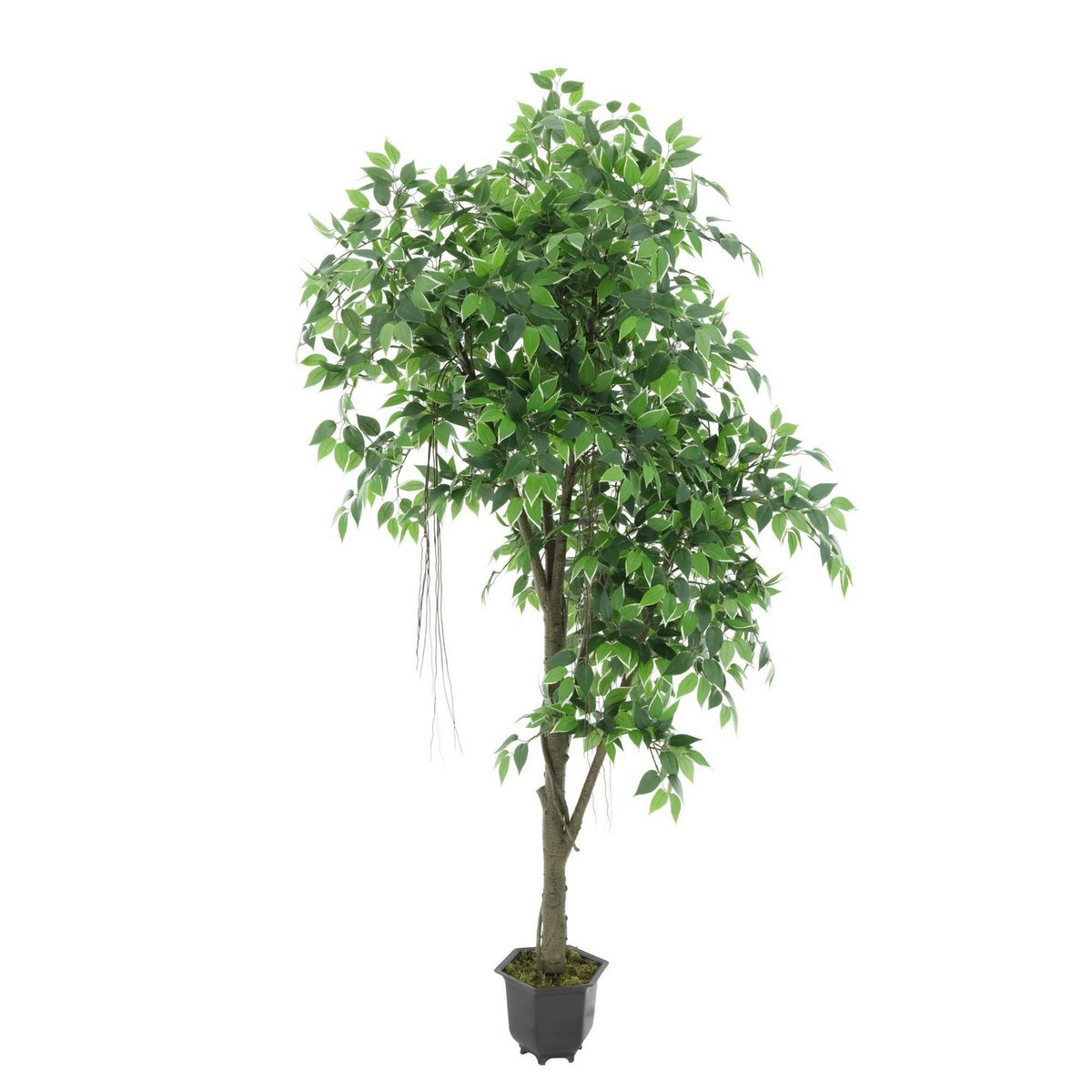 Planta Artificial Mini Ficus 190 cm, marca Just Home Collection - Foto Principal