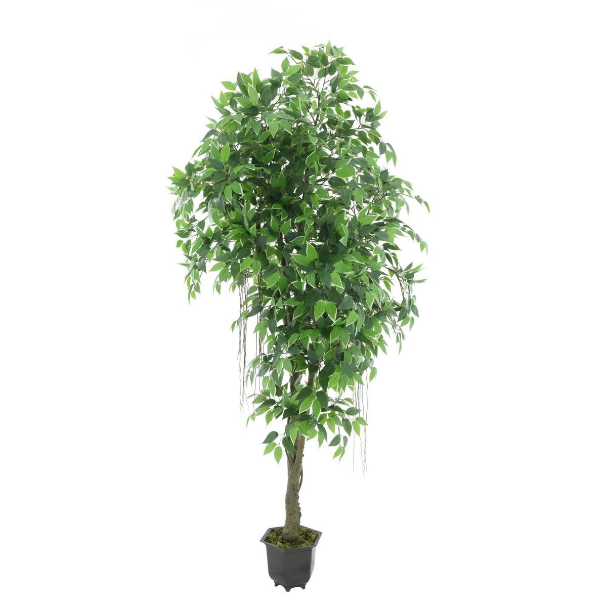 Planta Artificial Mini Ficus 190 cm, marca Just Home Collection - Foto 2