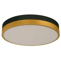 Lámpara de techo LED Kobe de 1 luz de 24W Multicolor