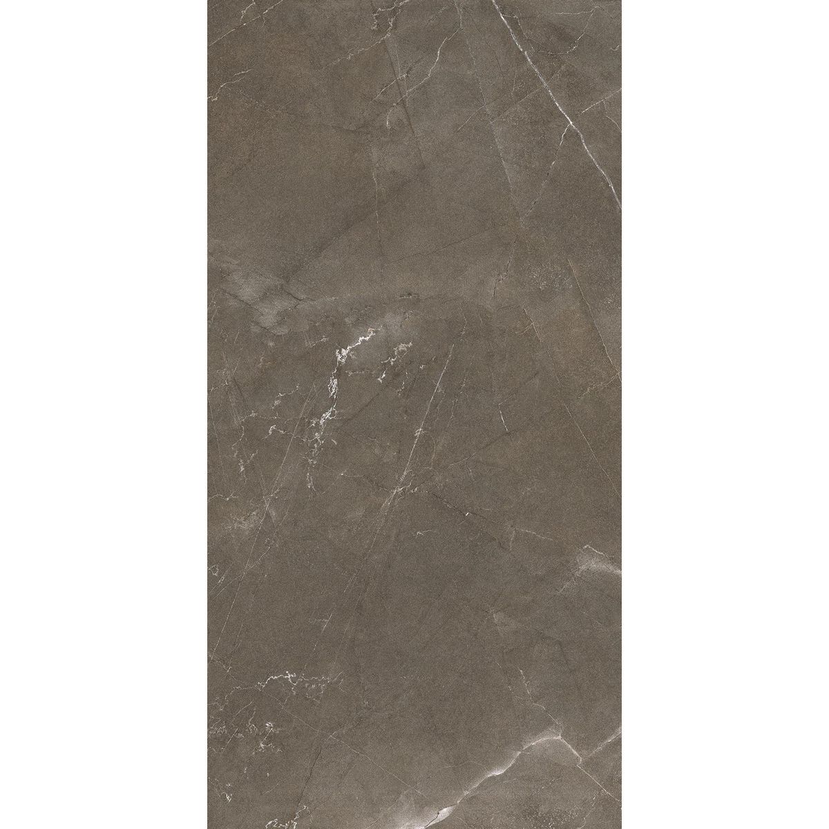 Piso Porcelanato Paraná 60X120 Mate Rectificado 1.44 m2, marca Holztek - Foto Principal