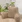 Beige-8999252