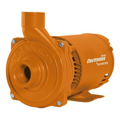 Motobomba Centrifuga 1.5 HP 240 l/min