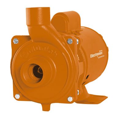 Motobomba Centrifuga 0.75 Hp