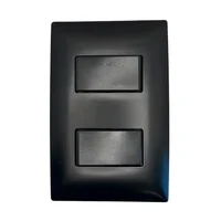 Placa Armada con 2 Interruptores Sencillos
