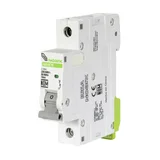 Interruptor Termomagnético DIN 1P 10A