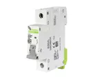Interruptor Termomagnético DIN 1P 10A