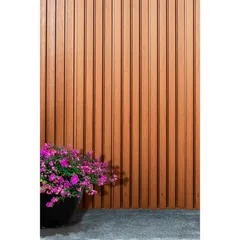 Lambrín Coextruido para exterior 3.00m x 20cm x 2.5cm