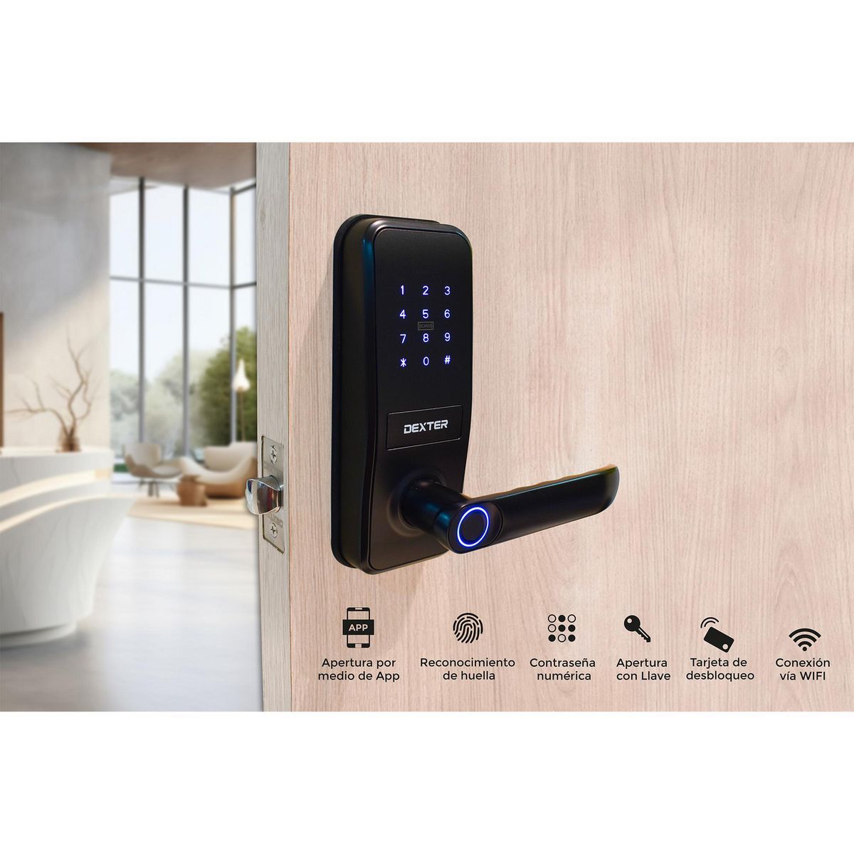 Dexter - Cerradura Dexter Smart Manija Tubular P130, Negro