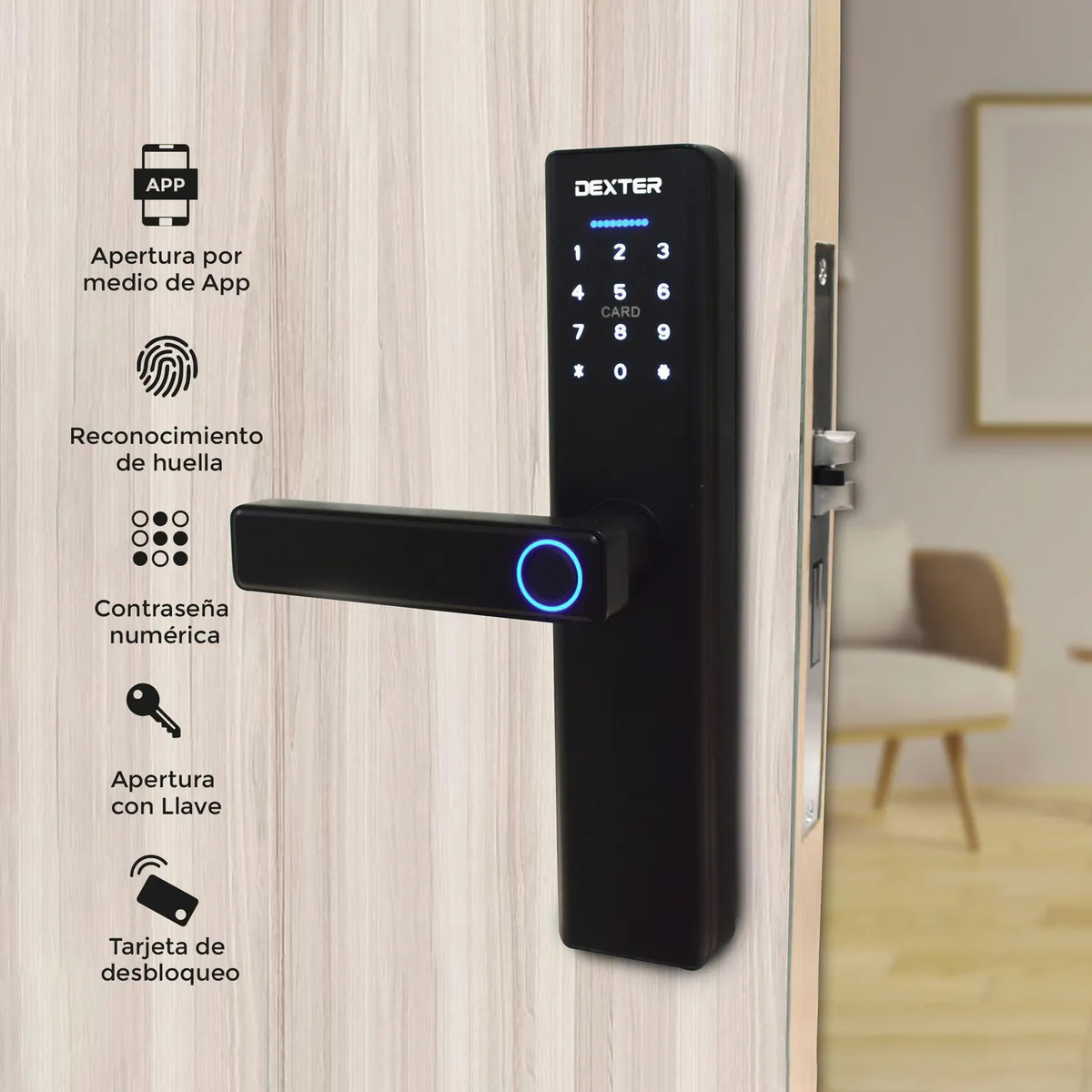 Dexter - Cerradura Dexter Smart de Embutir Pp120 BT, Negro