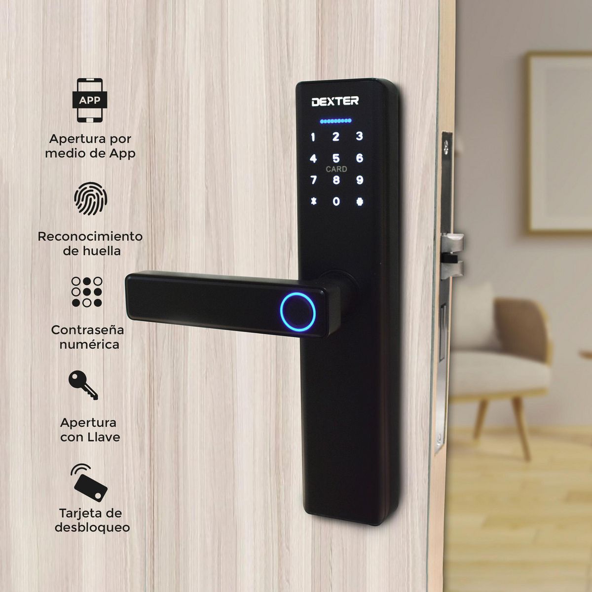 Dexter - Cerradura Dexter Smart de Embutir Pp120 BT, Negro