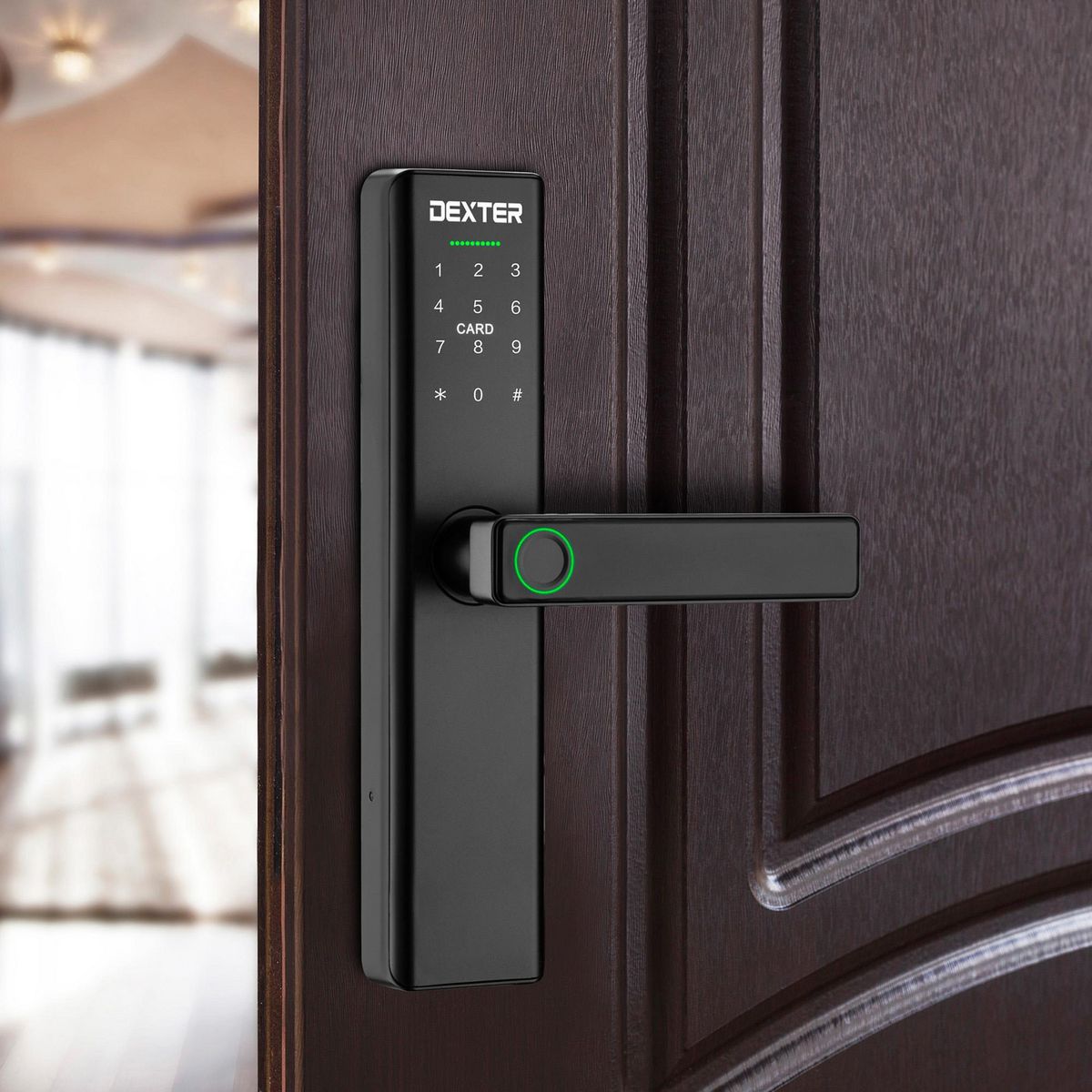 Cerradura Inteligente Pp120 H-Pw-T WIFI, Negro, marca Dexter - Foto 2