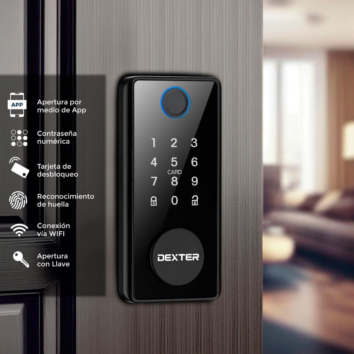 Dexter - Cerrjo Inteligente Dexter Ds01 H-Pw-T, Negro