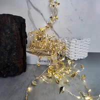 Serie de luces Dorado Navidad 200 Luces 2m