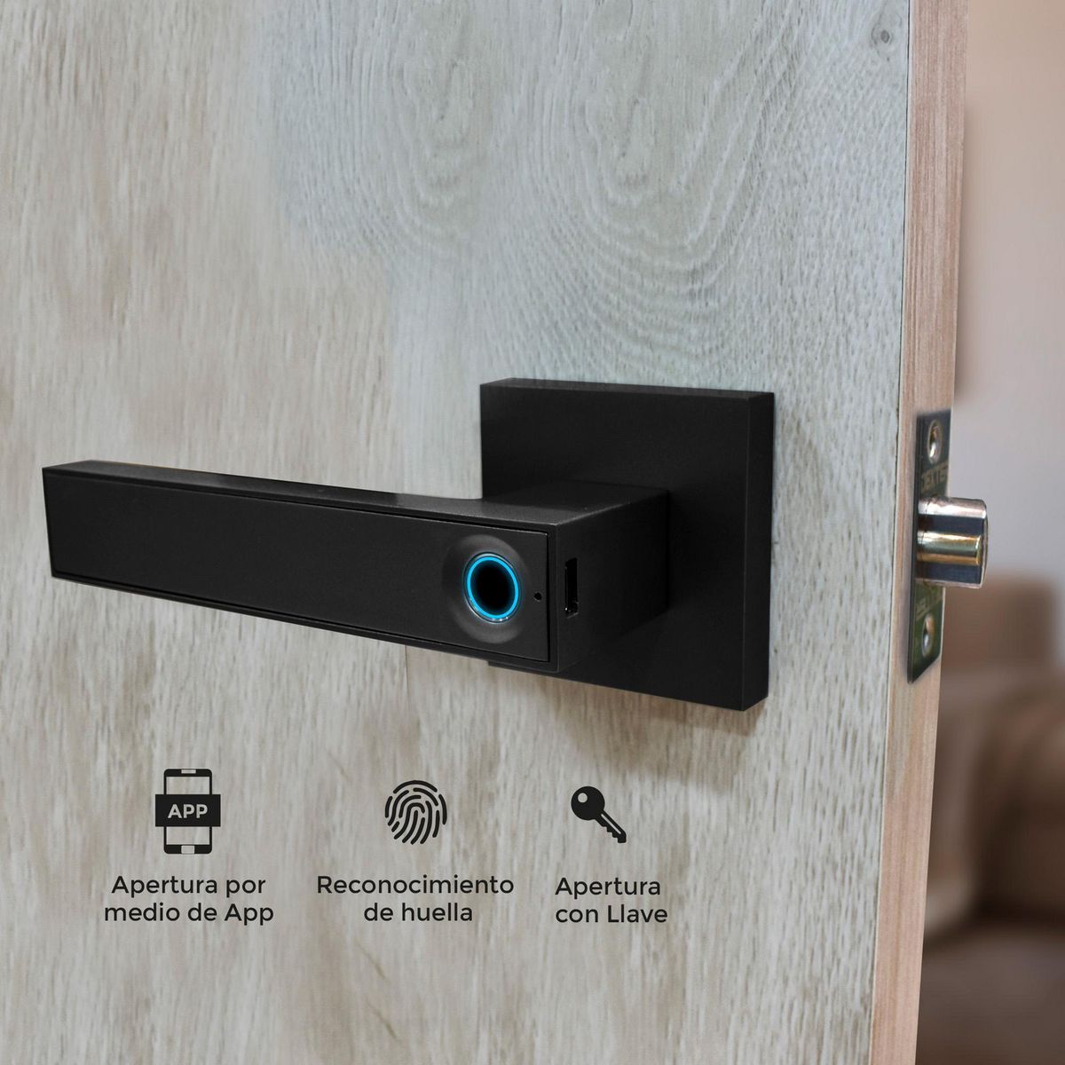 Dexter - Cerradura Inteligente M180 H-Bt, Negro