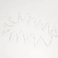 Luz Cadena Mini Led Navidad 60Luces