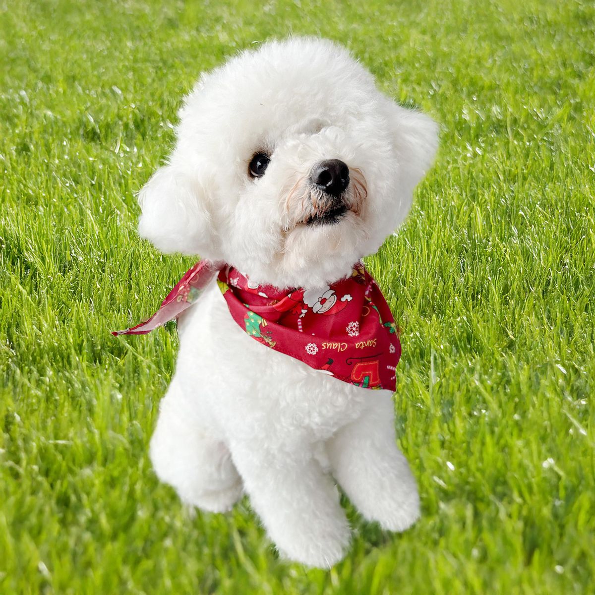 Dear Santa - Bandana Mascota Rojo Navidad Pet Glam