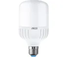 Foco LED Tipo T Alta Potencia con Sensor de Luz y Movimiento E27 50W Luz Fría