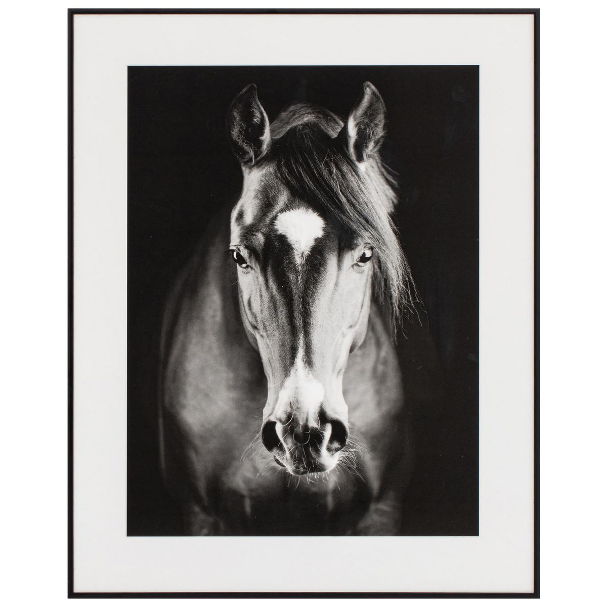 Just Home Collection - Cuadro Decorativo Caballo 40x50 cm
