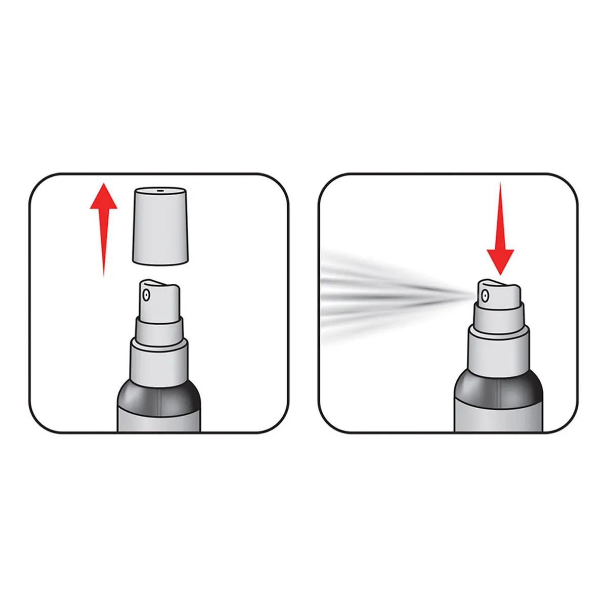 Little Trees - Aroma P/Auto Auto Nuevo Spray