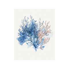 Cuadro decorativo Beach Coral 40x50 cm