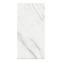 Piso Porcelanato Aridia Nieve 60x120 Brillante 1.44 Rec