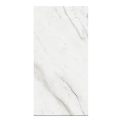 Piso Porcelanato Aridia Nieve 60x120 Brillante 1.44 Rec