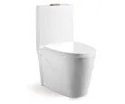 Sanitario wc One Piece Sant Pietro Blanco