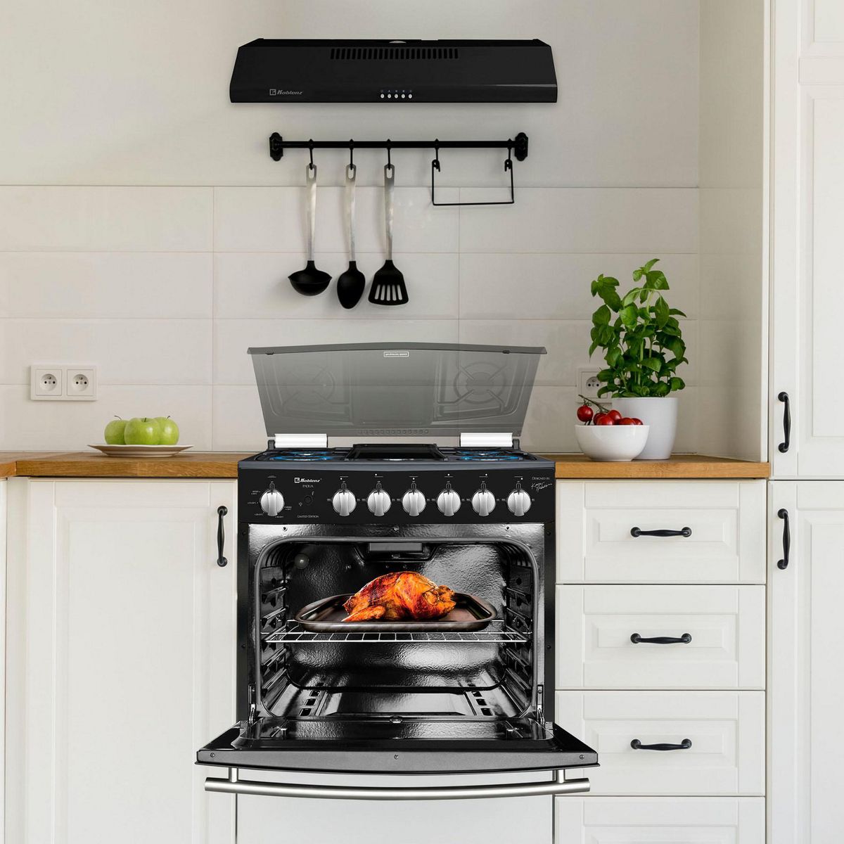 Koblenz - Estufa Empotre Padua