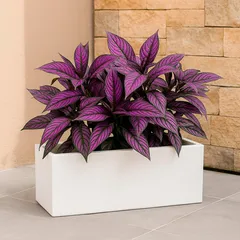Maceta Jardinera Jara Blanco
