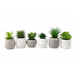 SB Planta Art Maceta Cemento