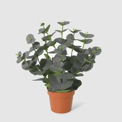 SB Planta Art Eucalipto Oscuro