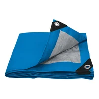 Lona de Polietileno Azul 4 m x 6 m (90 g/m2)