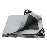 Lona de Polietileno de Uso Rudo 4 m x 6 m (180 g/m2)