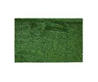 Tapete de entrad Grass mat 40x60 cm